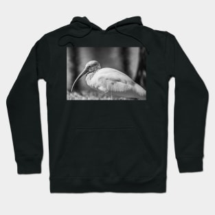 Gatorland American white ibis black and white Hoodie